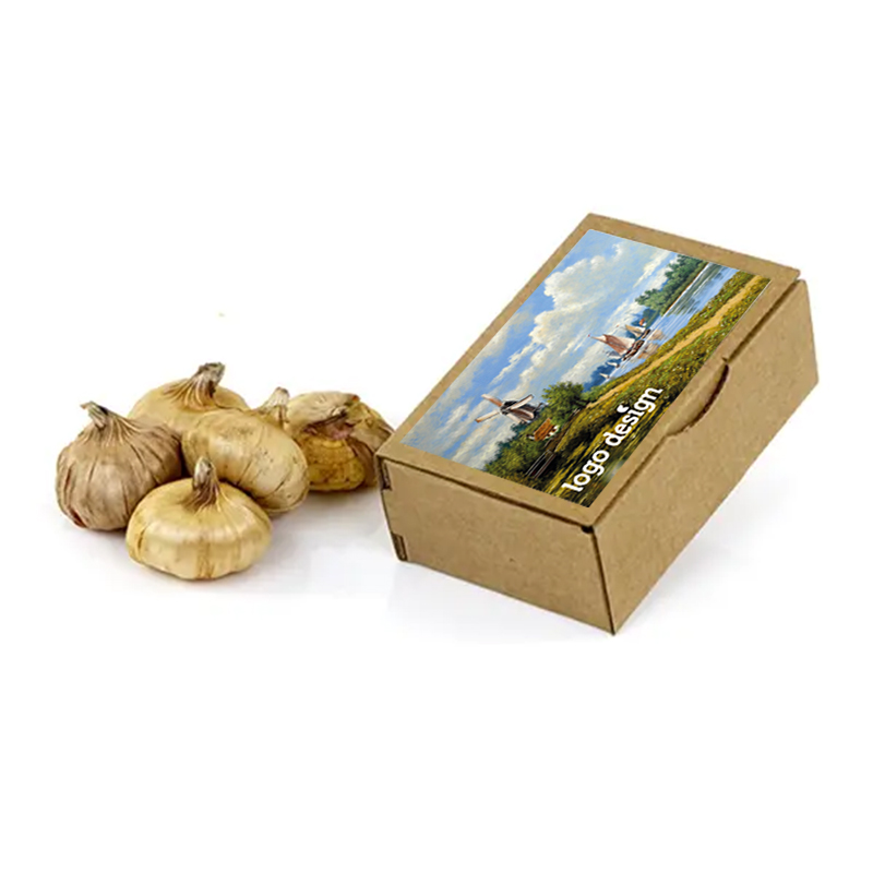 Kraft box with flower bulbs